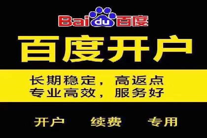 搜索引擎营销（SEM）在移动端的投放案例